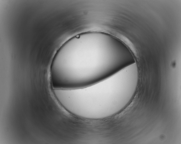 X0000102771428200808180945
