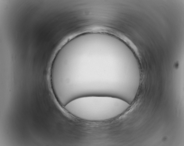 X0000102771429200808180945