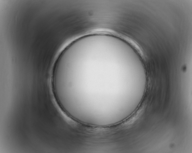X0000102771430200808180945