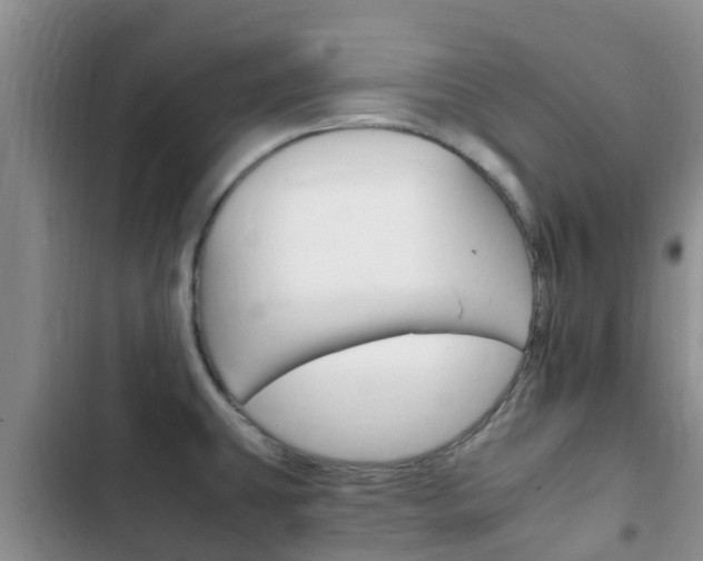 X0000102771431200808180945