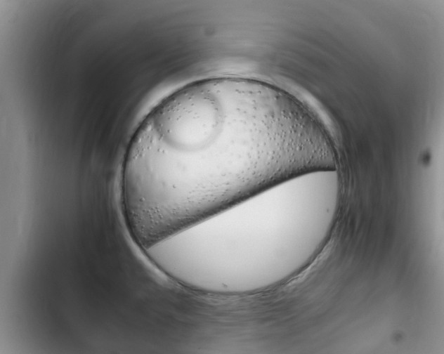 X0000102771432200808180945