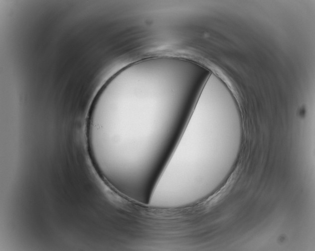 X0000102771434200808180945