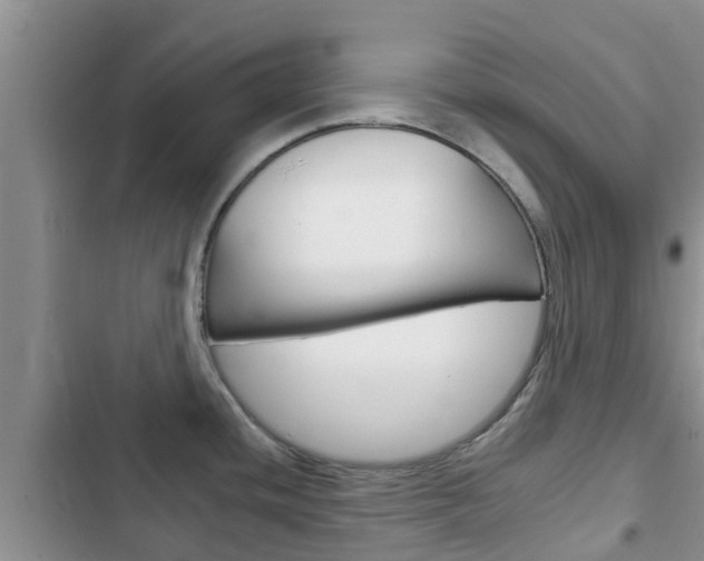 X0000102771436200808180945