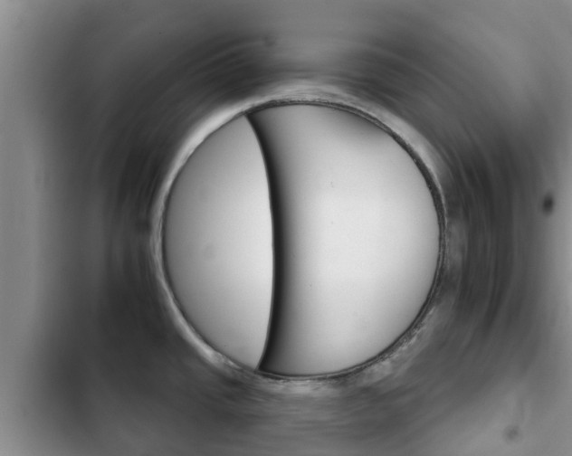 X0000102771437200808180945