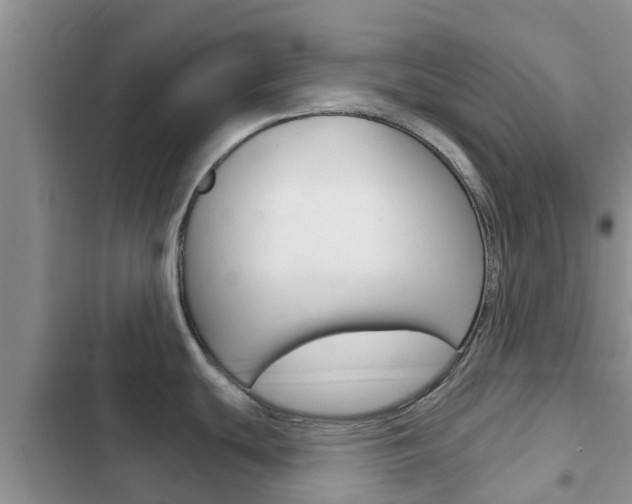 X0000102771439200808180945
