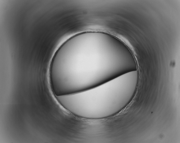 X0000102771440200808180945