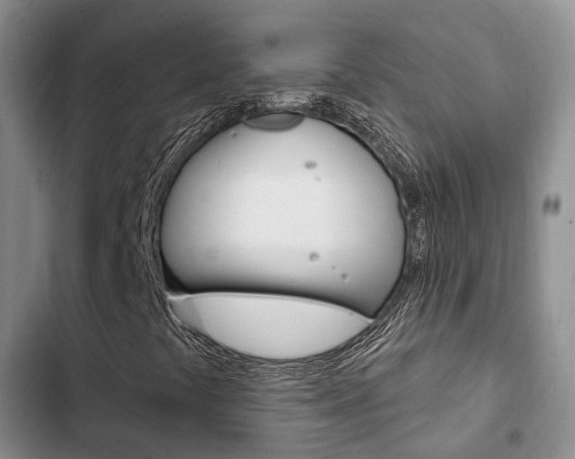 X0000102771441200808180944