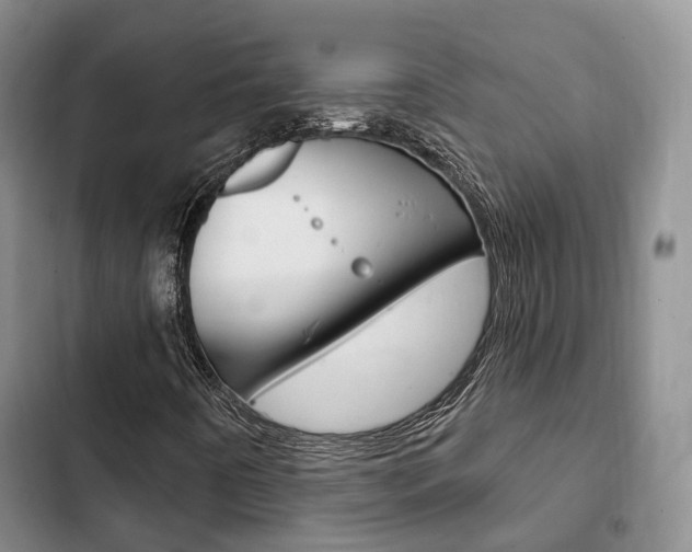 X0000102771442200808180944