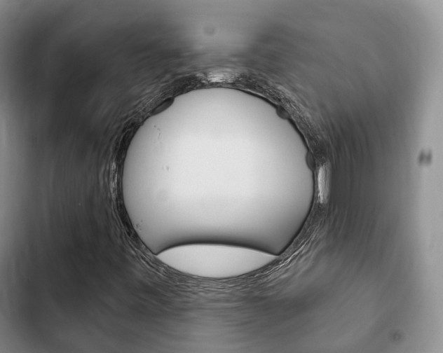 X0000102771443200808180944