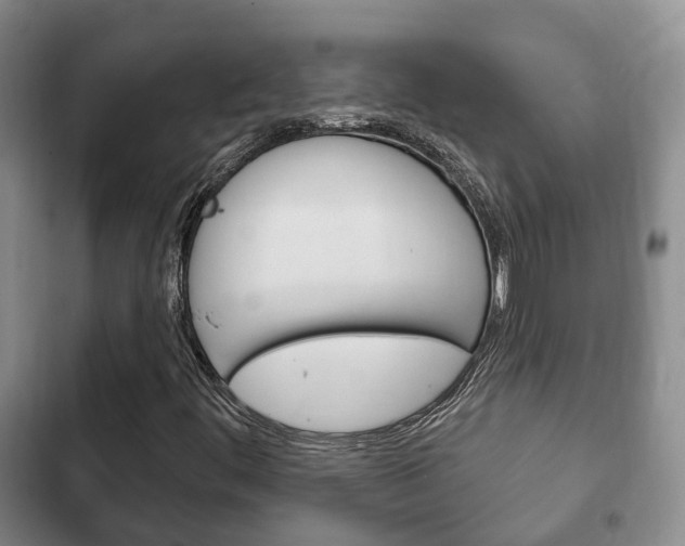 X0000102771444200808180944