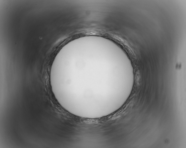 X0000102771446200808180944