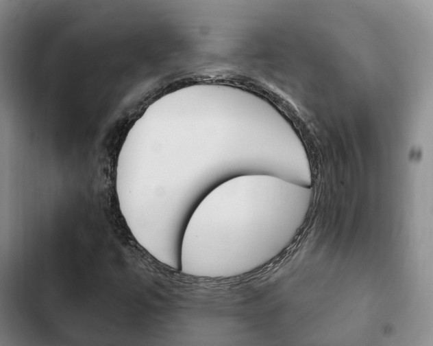 X0000102771447200808180944