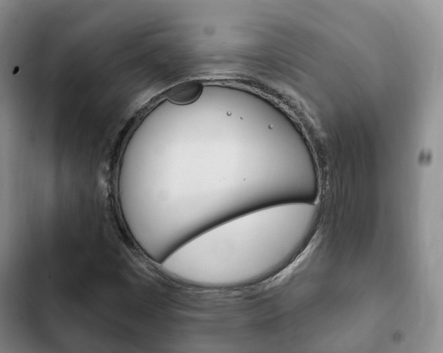 X0000102771449200808180944
