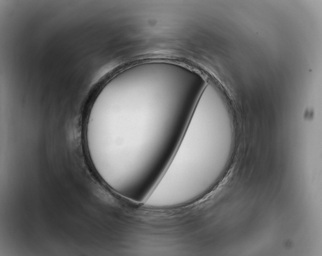 X0000102771450200808180944