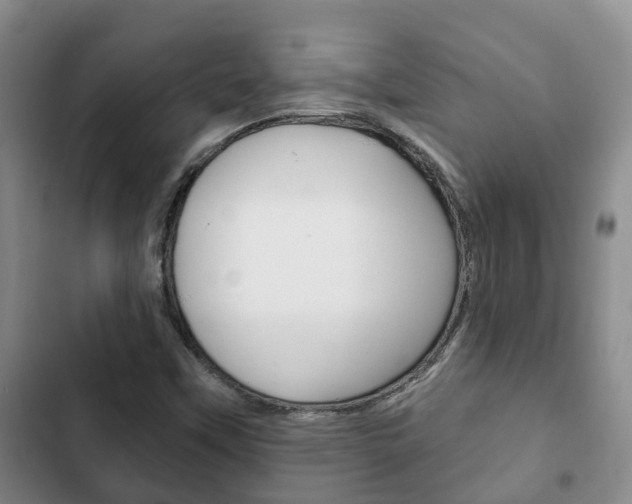 X0000102771451200808180944