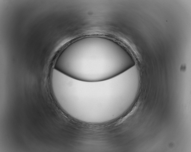 X0000102771453200808180944