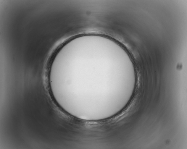 X0000102771454200808180944