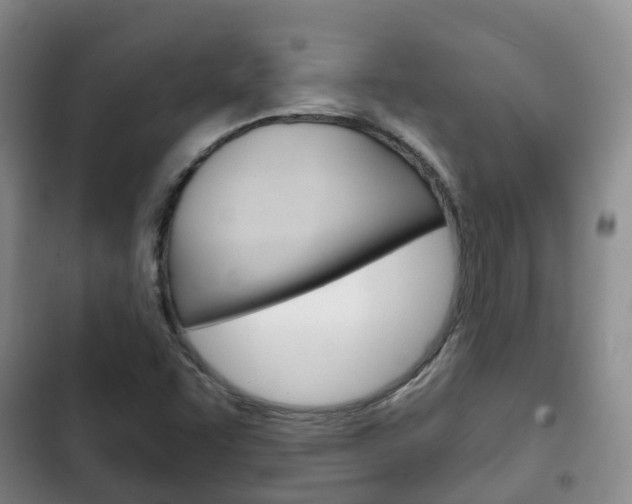 X0000102771455200808180944