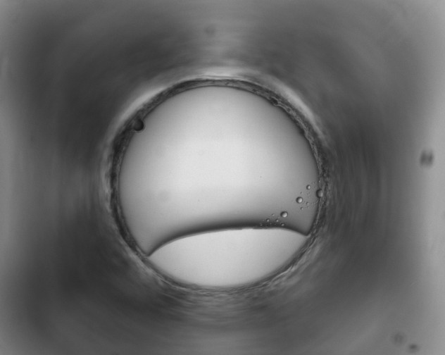 X0000102771456200808180944