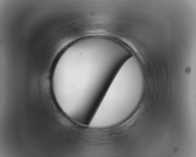 X0000102771458200808180944