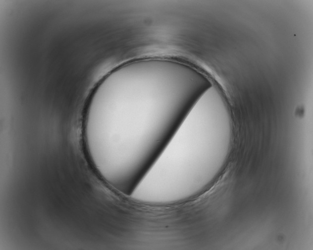 X0000102771459200808180944
