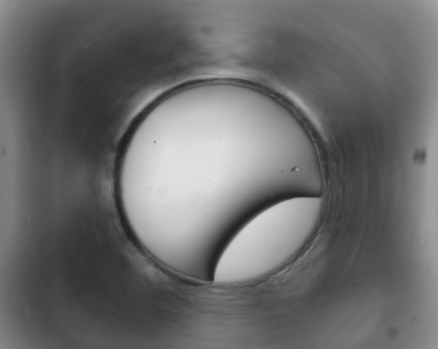 X0000102771460200808180944
