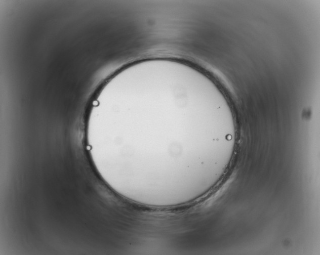 X0000102771461200808180944