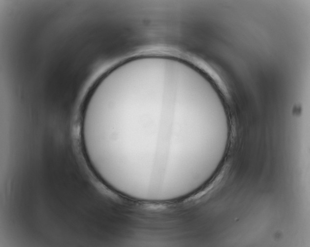 X0000102771462200808180944