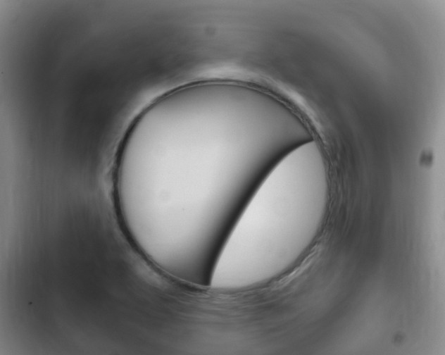 X0000102771463200808180944