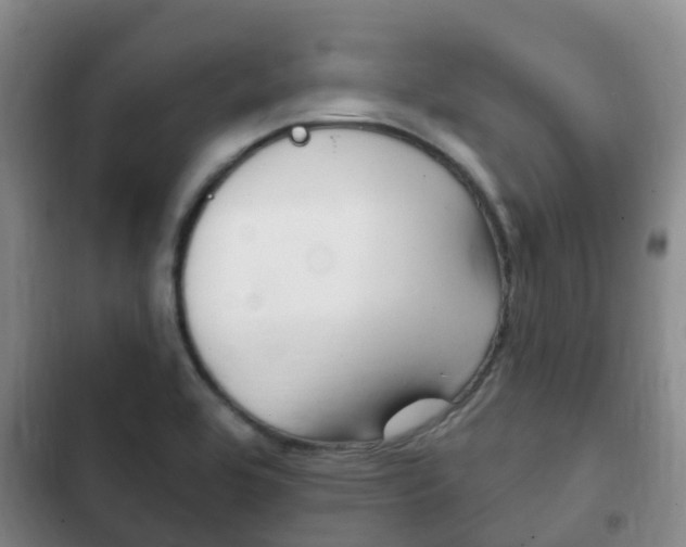 X0000102771464200808180944