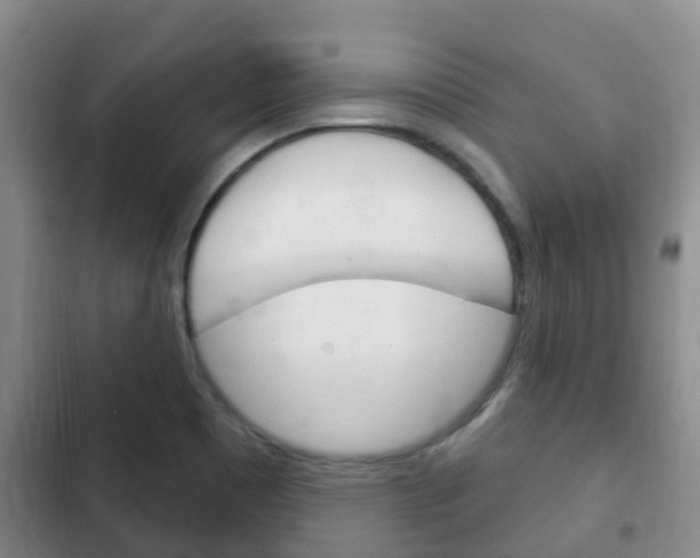 X0000102771465200808180944