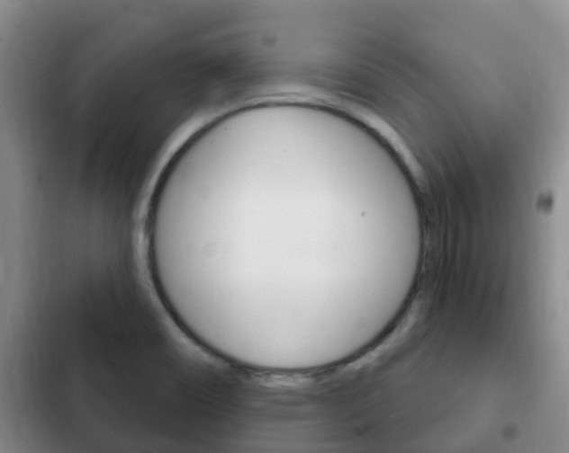 X0000102771466200808180944