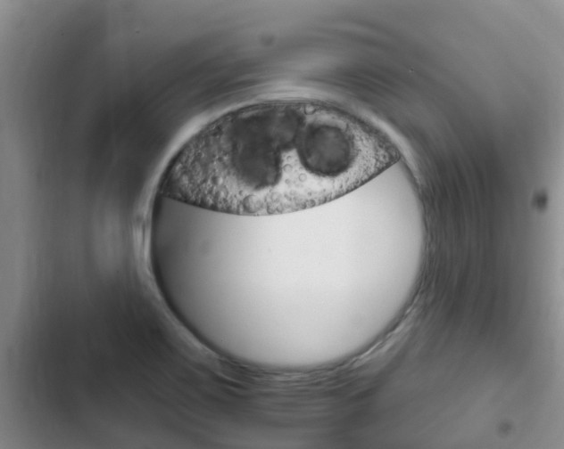 X0000102771467200808180944
