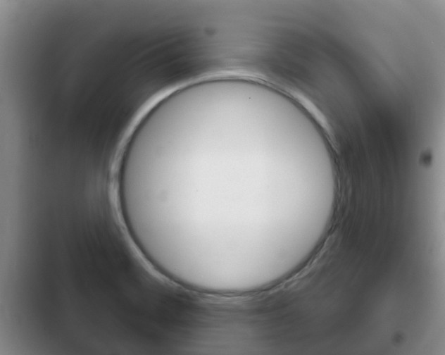 X0000102771468200808180944