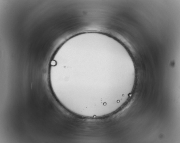 X0000102771469200808180944