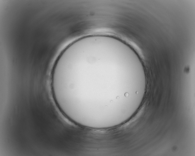 X0000102771470200808180944