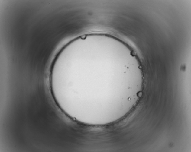 X0000102771472200808180944
