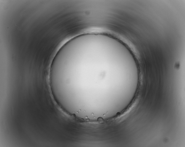 X0000102771473200808180944