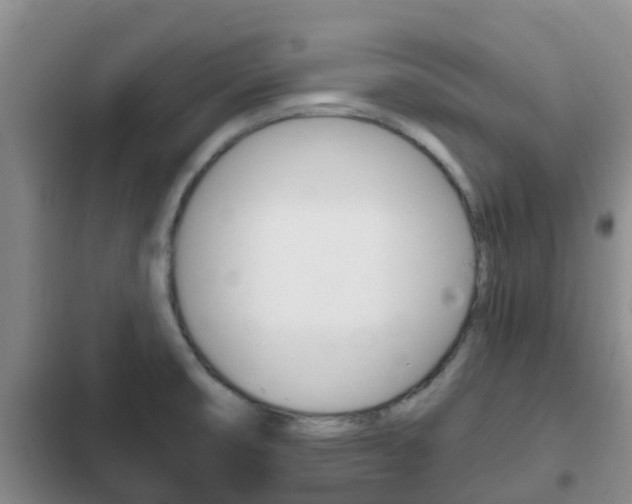 X0000102771474200808180944