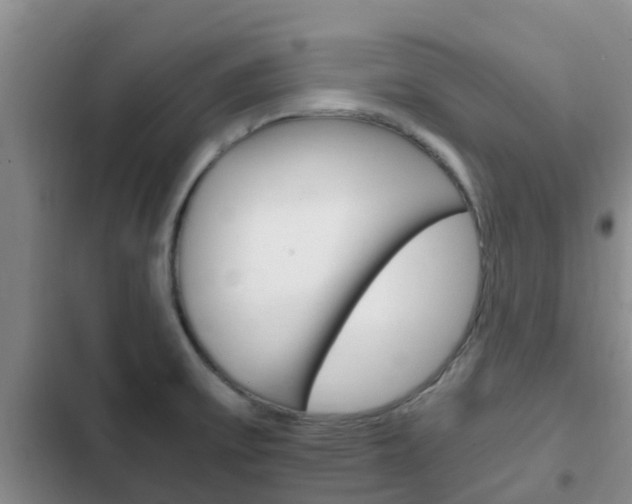 X0000102771475200808180944
