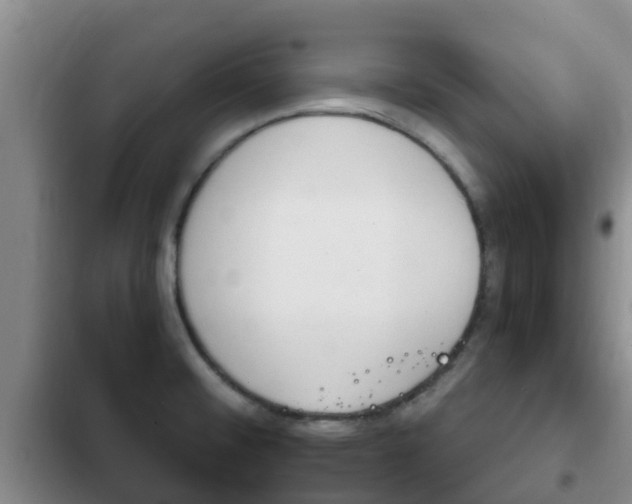 X0000102771476200808180944