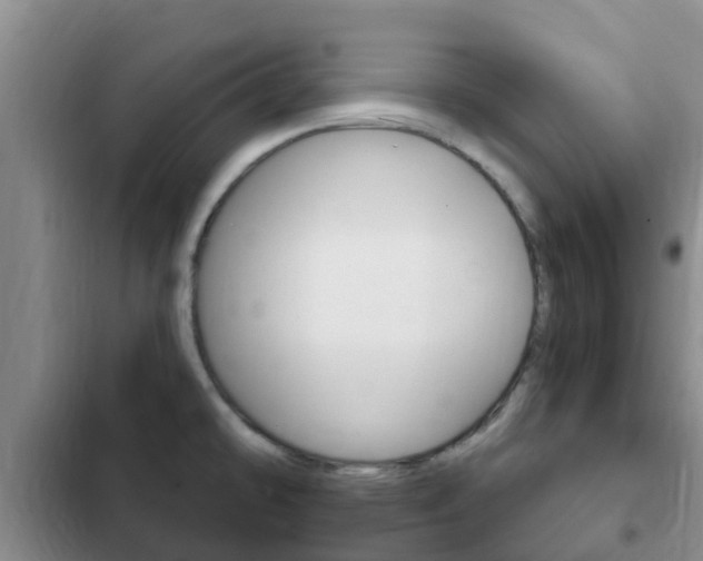 X0000102771478200808180944