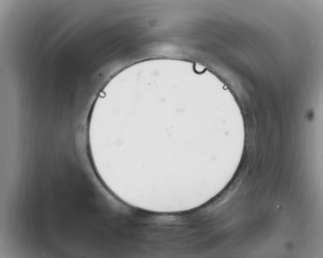 X0000102771479200808180944