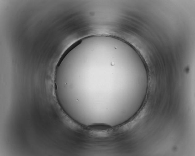 X0000102771481200808180943