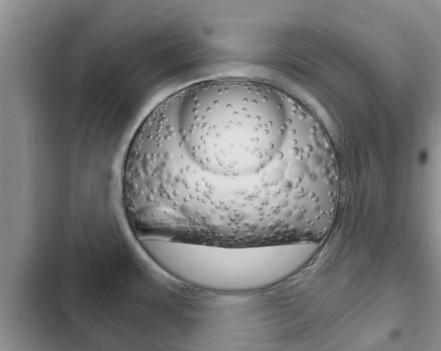 X0000102771483200808180943