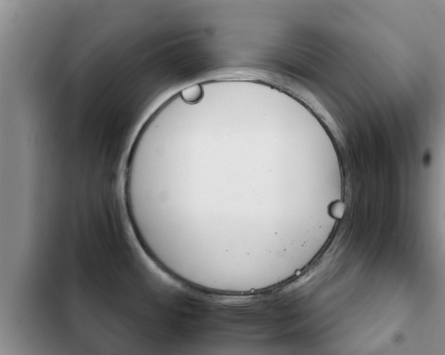 X0000102771484200808180943