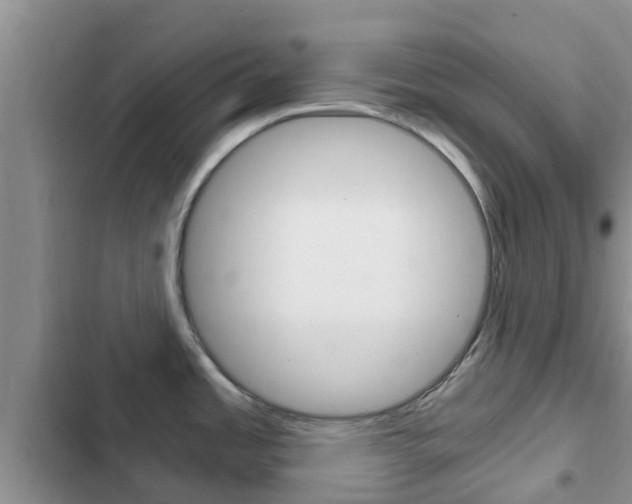 X0000102771485200808180943