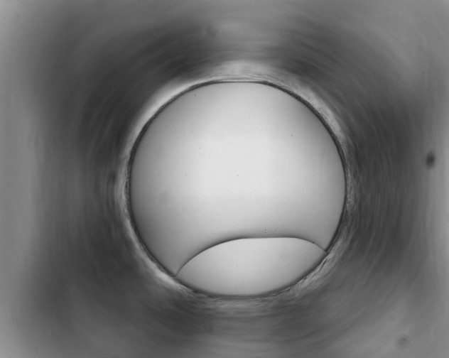 X0000102771486200808180943