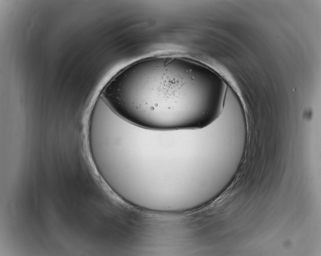 X0000102771488200808180943