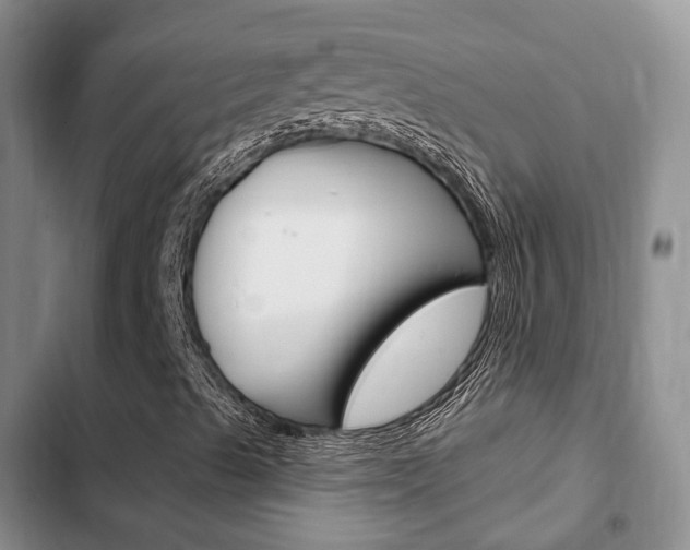 X0000102771489200808180942
